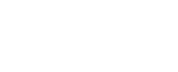 In a city of 100,000 people, dogs can generate 2 ½ tonnes of faeces per day.